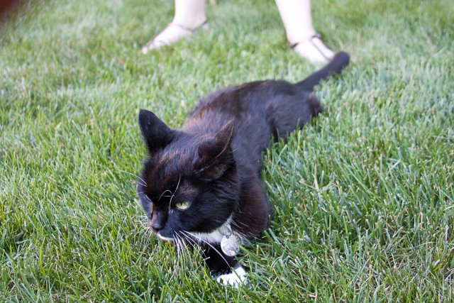 Emma_2008-07-12_0001